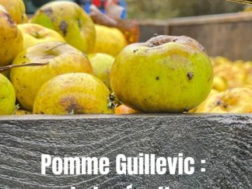 🍎 La Pomme Guillevic et la Maison Séhédic 🍎

Découvrez le trésor breton : la pomme Guillevic🍏, une variété ancienne et rare, reconnue pour ses arômes...