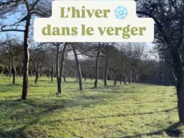 L’hiver est encore présent dans le verger ❄️ 

Les pommiers ont donné leurs fruits, perdu leurs feuilles et entrent en mode repos : le fameux repos végétatif...