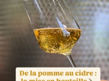 🌿🍏 Voilà quelques jours que le printemps est arrivé, et avec lui, le début de la mise en bouteille des premiers cidres du millésime 2024 ! ☀️

Nous...