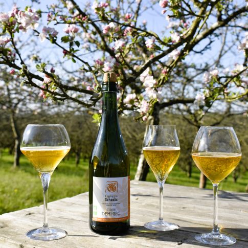 Cidre séhédic - demi sec biologique