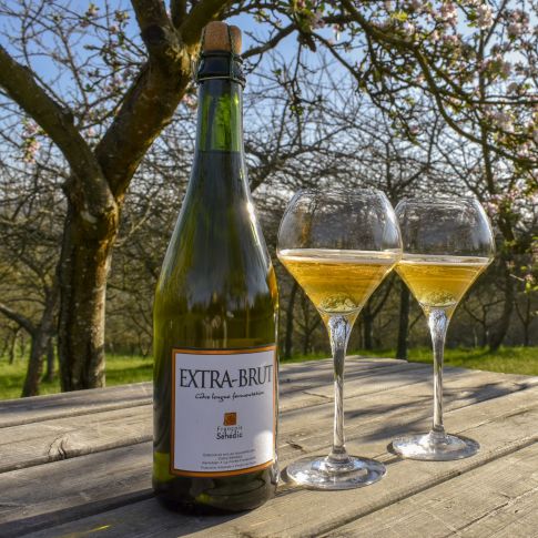 Cidre séhédic biologique extra-brut