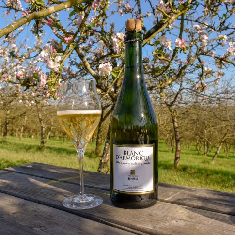 Cidre séhédic Blanc d’Armorique