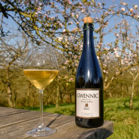 Cidre séhédic biologique Gwennic moelleux Cidre séhédic biologique Gwennic moelleux