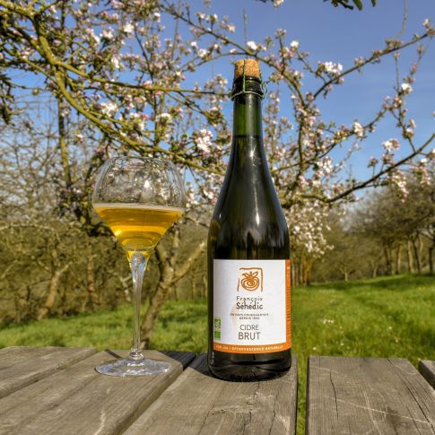 cidre brut biologique cidre sehedic