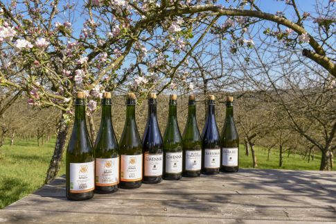 cidre sehedic cidres bio gamme complète