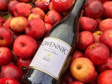 🍏 Cidre Gwennic Sec — «La délicatesse d’une pomme d’exception 

Issu exclusivement de la pomme Guillevic, ce cidre sec dévoile une fraîcheur éclatante, une...