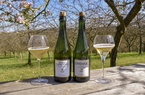 cidre séhédic, blanc d'armorique - gwennic sec