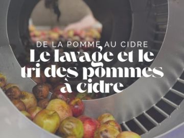 🍾 Millésime 2024

Pour la maison Séhédic, chaque étape de la fabrication compte et notamment le lavage et le tri des pommes à cidre 🍎🍏

Nous ne travaillons...