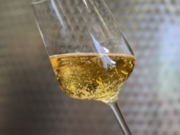 🍏 Chez Cidre Séhédic, l'effervescence de nos cidres ne se fabrique pas en quelques heures. Elle se construit pendant plusieurs mois.
Tout commence avec le...