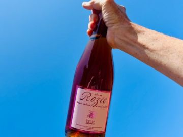 🍒 Rozic, une cuvée née de deux fruits emblématiques de La Forêt-Fouesnant

En juin dernier, nous vous présentions Rozic à l’occasion de la Fête des Cerisiers...