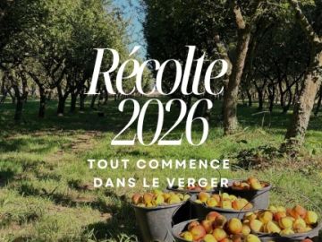 Avant d’arriver jusqu’à la table de lavage et de tri des pommes, il se passe beaucoup de choses… 🍎

Pendant la récolte, toute l’équipe se mobilise. Une...