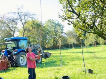 🍎 Quand les dernières pommes s’accrochent aux branches… on ressort les gaules !

Après un été particulièrement chaud et un manque d’eau marqué, les pommes...
