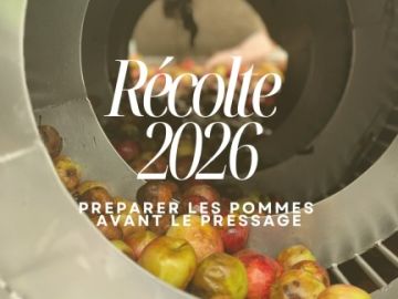 🍎 Après le ramassage, place au lavage et au tri des pommes !

Qu’elles soient ramassées à la main ou à la machine, toutes nos pommes passent par cette étape...